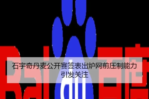 石宇奇丹麦公开赛签表出炉网前压制能力引发关注